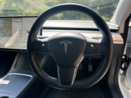 21 plate Tesla Model 3 (Dual Motor) Long Range Auto 4WDE 4dr full